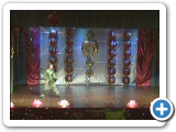 Chen Style Tai Ji Dao/Broad Sword - Chinese New Year Demo 2010