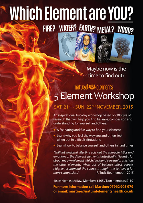 Five Element Workshop Discover Your Element 2015