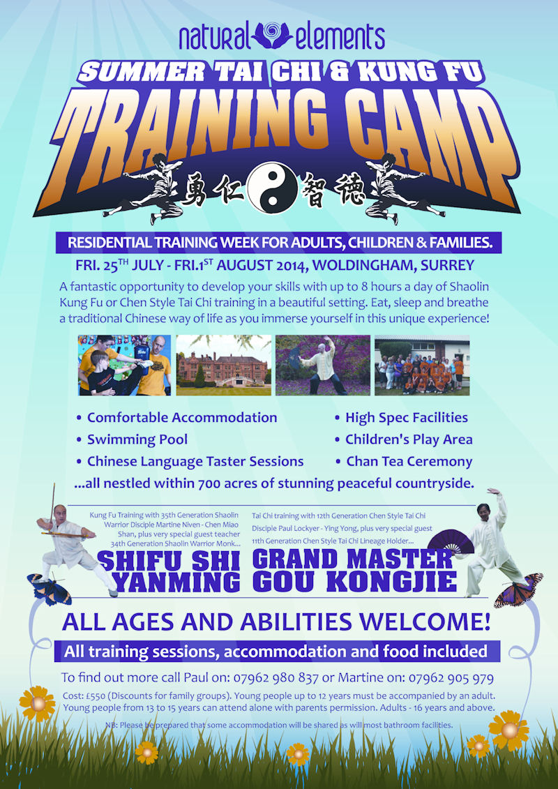 Summer 2014 Training Camp Poster