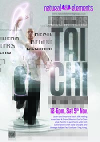 Tai Chi Beginners Workshop 2013